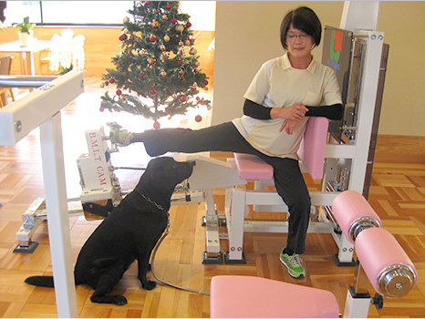 《 PELVIS 》 4D-2000